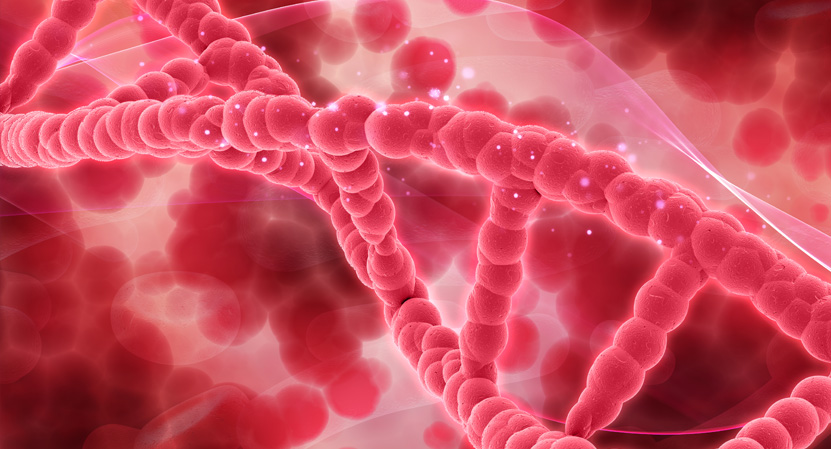 Has sentit a parlar que la SIDA es pot curar?